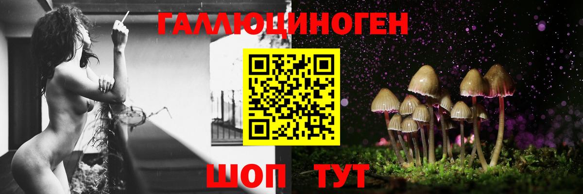 Галлюциногенные грибы Psilocybine cubensis  Вход с VPN  Избербаш  Галлюциногенные грибы Cubensis 